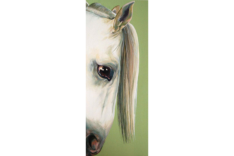 DAPPLE APPLE - oil on canvas
(now only available in print)