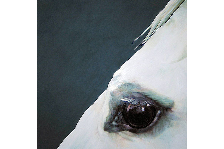 EQUI EYE - oil on canvas
(now only available in print)