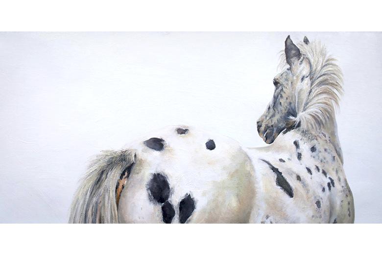 SOUTH ISLAND APPALOOSA 2.5' x 5' - oil on canvas