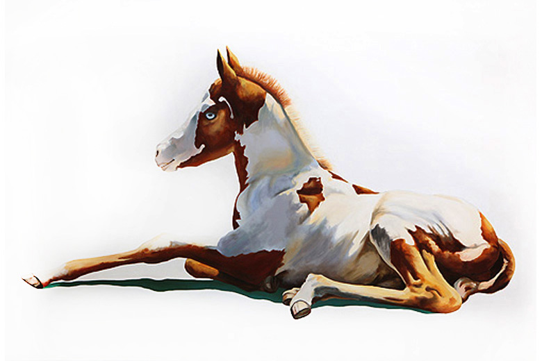 PAINT FOAL - oil on canvas
(now only available in print)