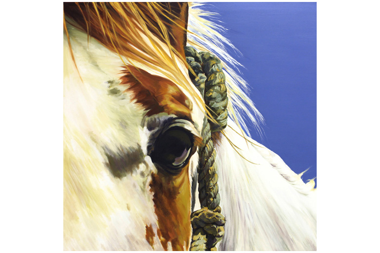 THE PAINTED EYE - oil on canvas
(now only available in print)