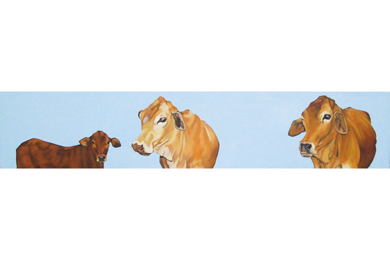 TWO COWS & A CALF - Oil on canvas