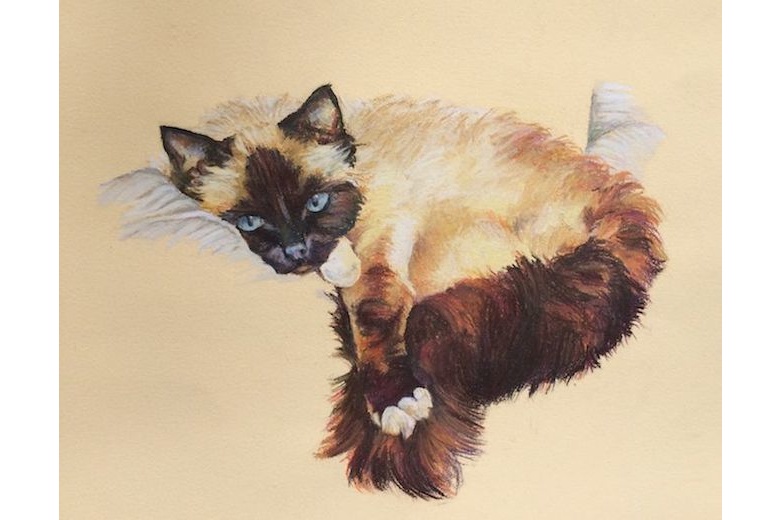 Pastel on Paper